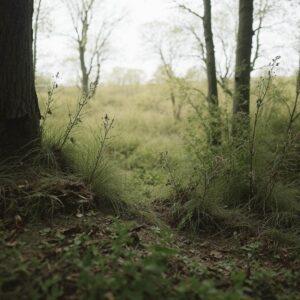 Aktywność fizyczna